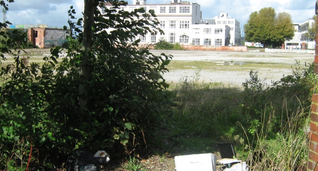large area of empty wasteland in the city